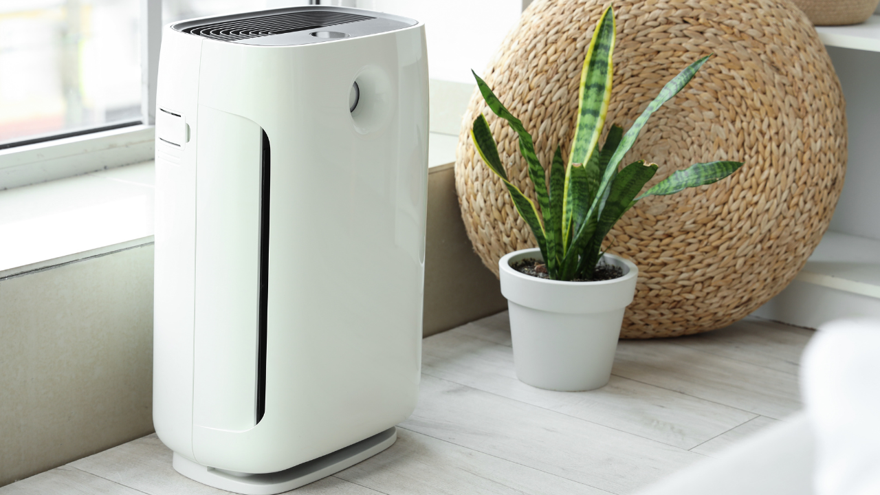 A white air purifier beside a snake plant in a bright clean living space with natural light, representing the Inner Empire™ truth that the quality of the air in your workspace directly supports or undermines your cognitive performance and hormonal health.