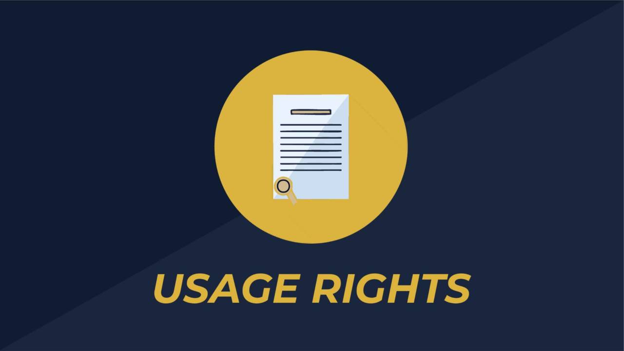 Using Correct Usage Rights You Should Be Charging for Usage Rights | Cocktail Camera