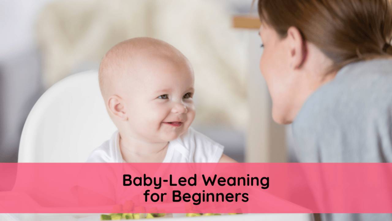 Baby-Led Weaning for Beginners | Starting Solids & Finger Foods Guide