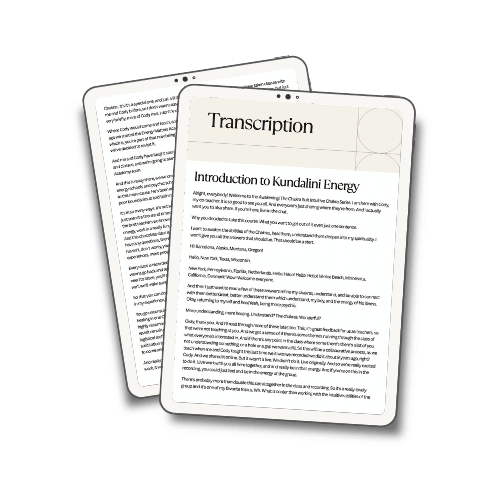 Class transcription preview