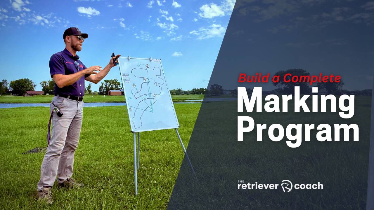 Build a Complete Marking Program