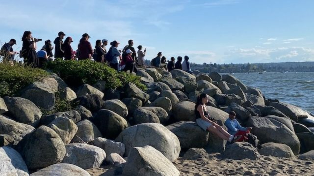 A crowd of people standing at the edge of English Bay in Vancouver, cameras raised, watching a grey whale surface in the water.