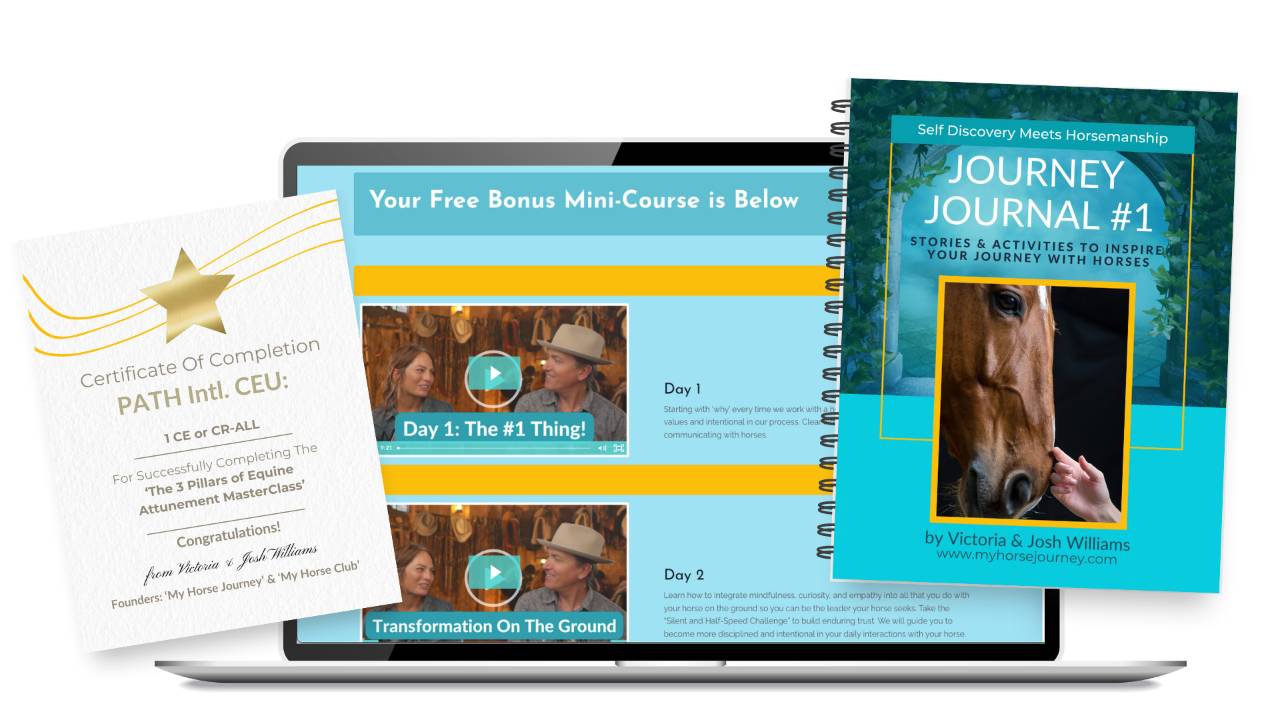 Confirmation: Journey Journal + Companion Course