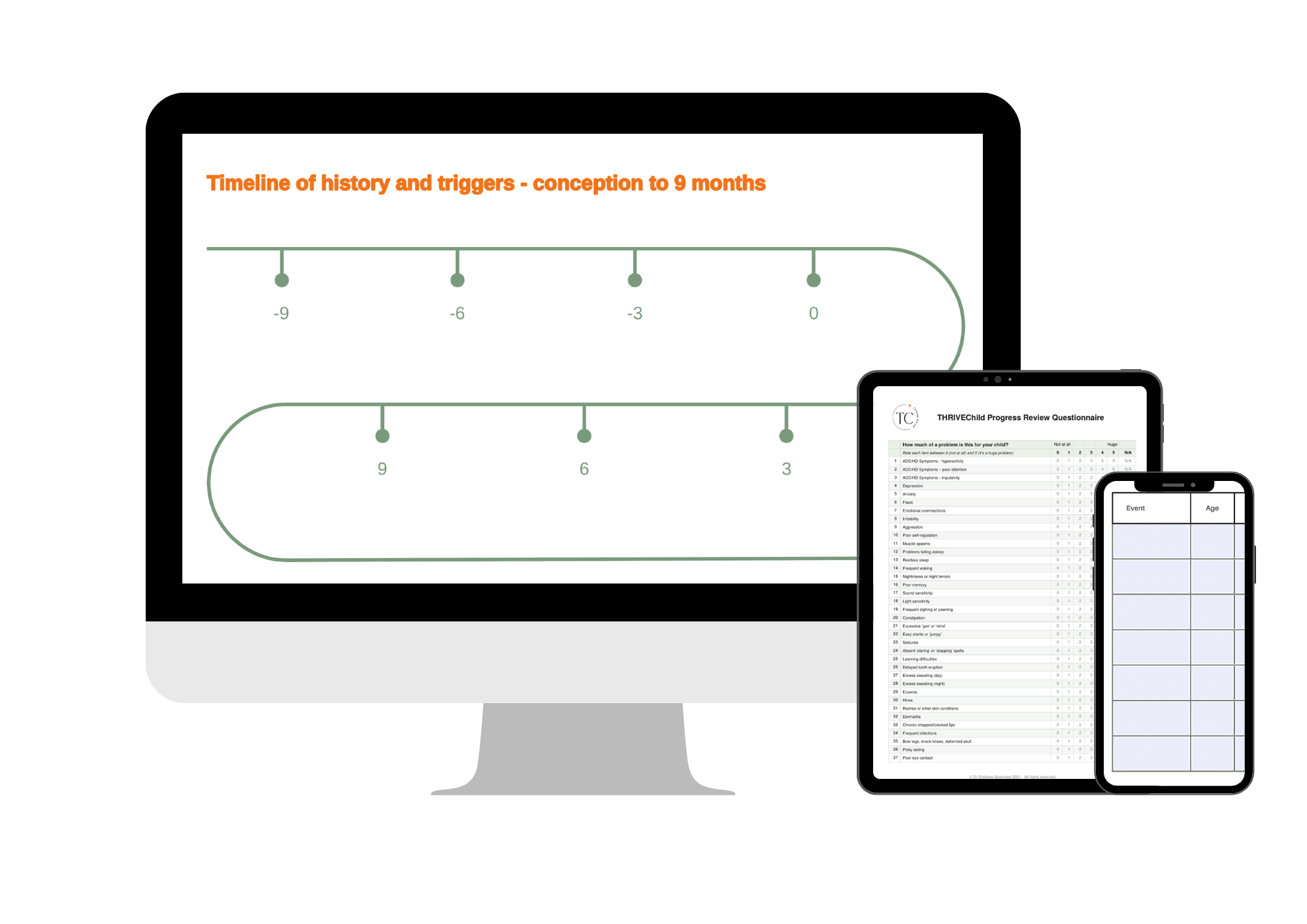 Placeholder for the Progress Review report