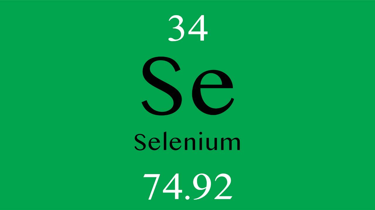 Understanding the Importance of Selenium for Thyroid Health