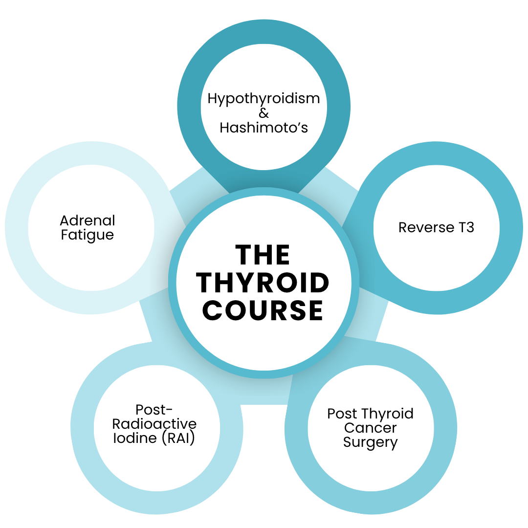 thyroid wheel graphic with the various thyroid issues