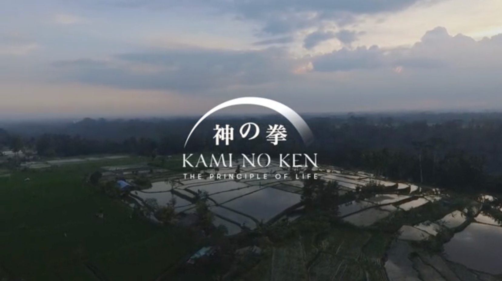 Video Poster Image