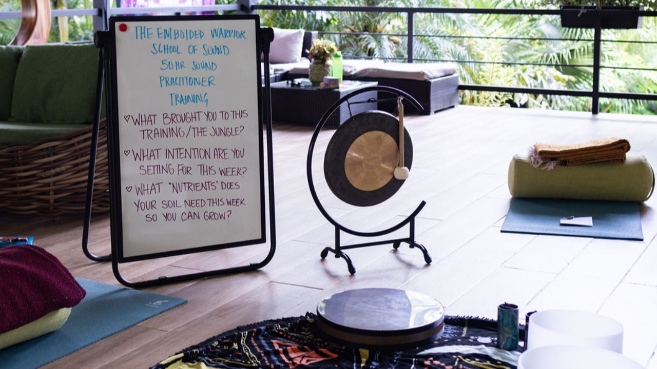 sound healing, sound healer, sound healing training, yoga teacher trainer, Costa Rica