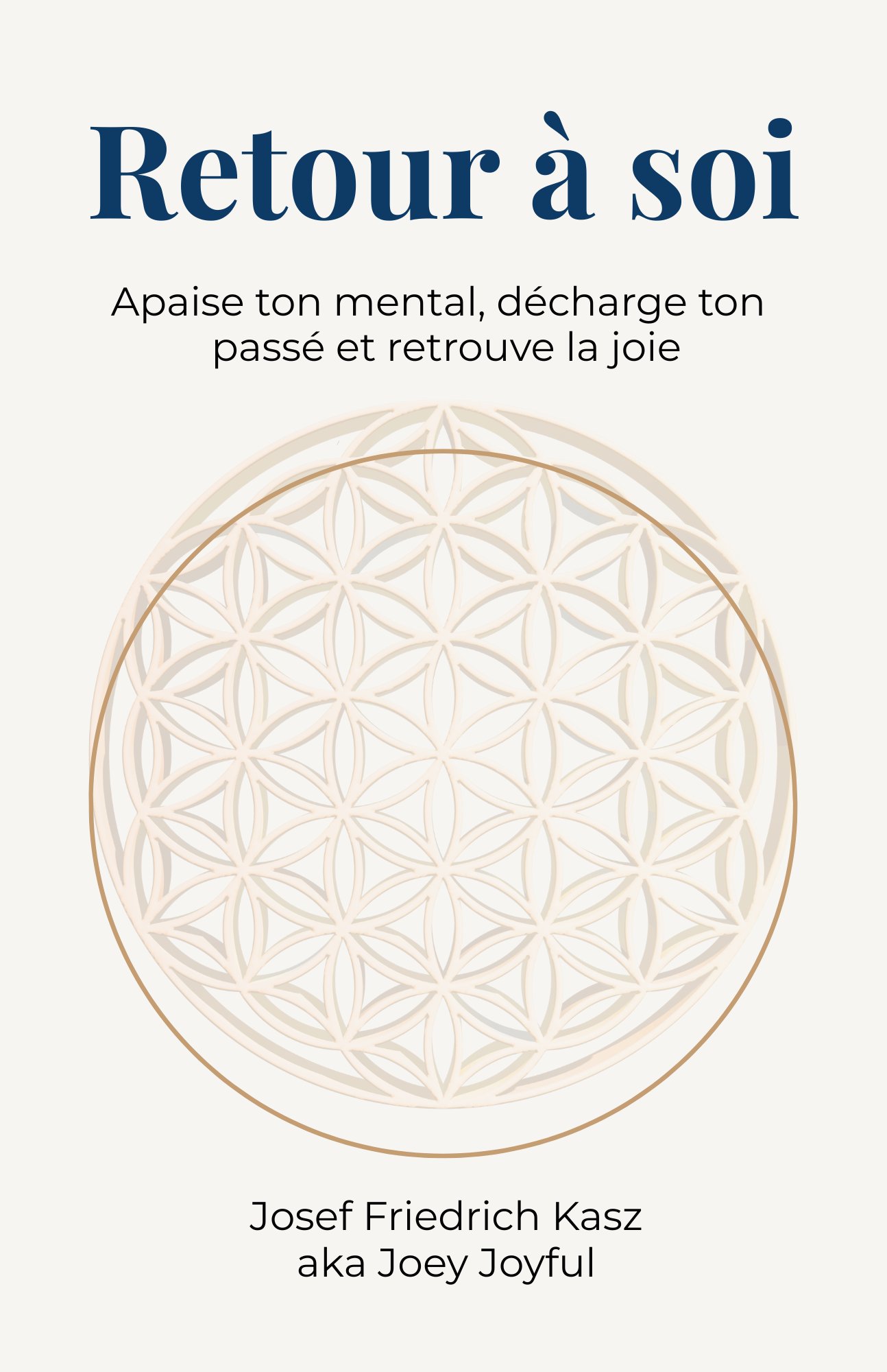 Retour à soi, livre de Joey Joyful