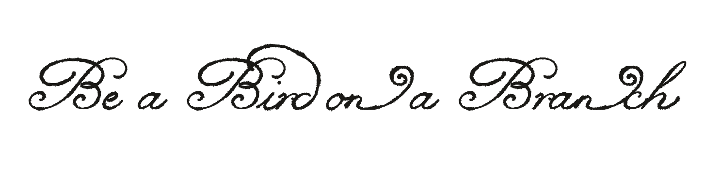 Be a Bird on a Branch