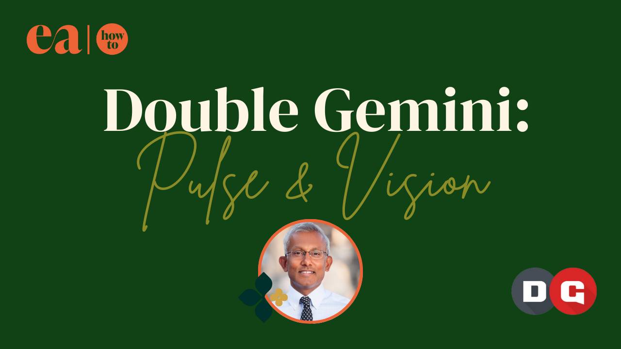 Double Gemini double-gemini