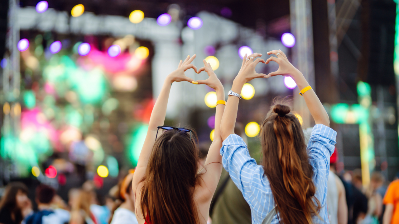 crowd at concert