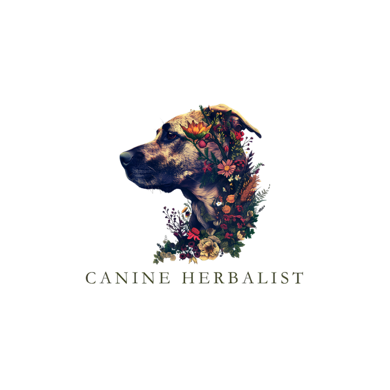 Header Logo