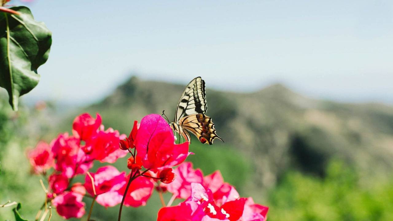 Meet Your Acupuncture & Cupping Therapy Greenville Team