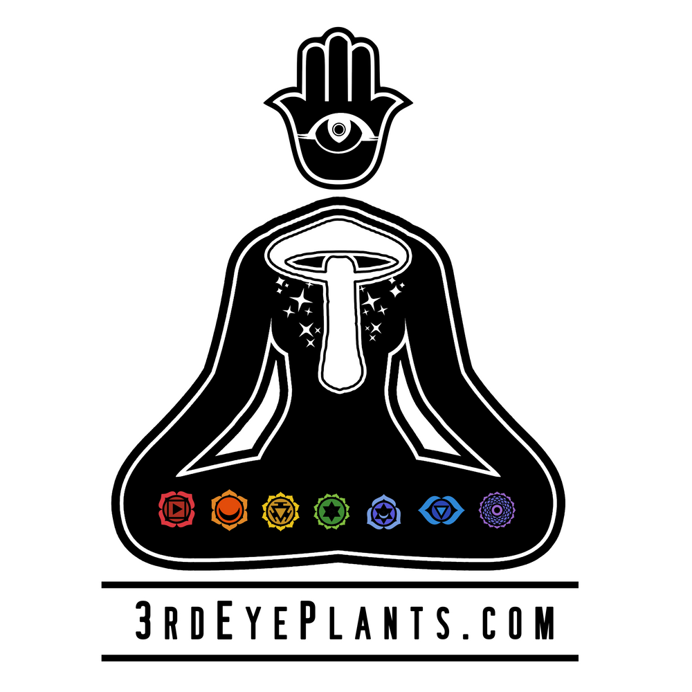 Footer Logo