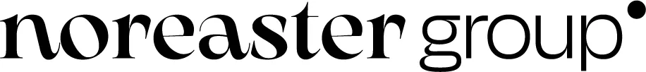 Noreaster group logo
