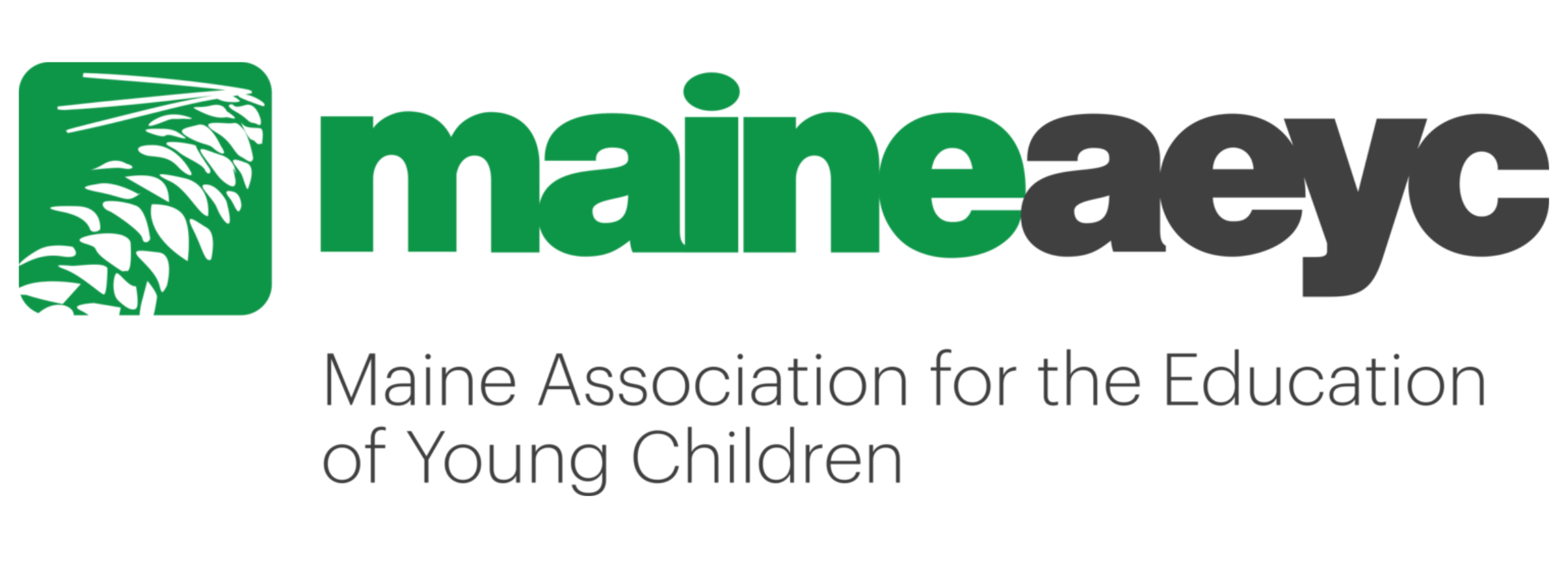 Maine AEYC logo. Text reads, Maine AEYC Maine Association for the Education of Young Children