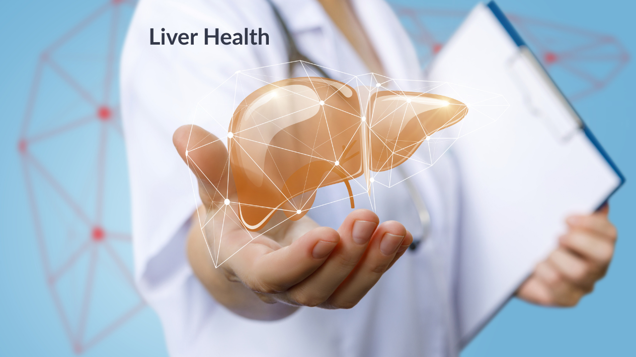 Illustration of the human liver, the organ that supports natural detox