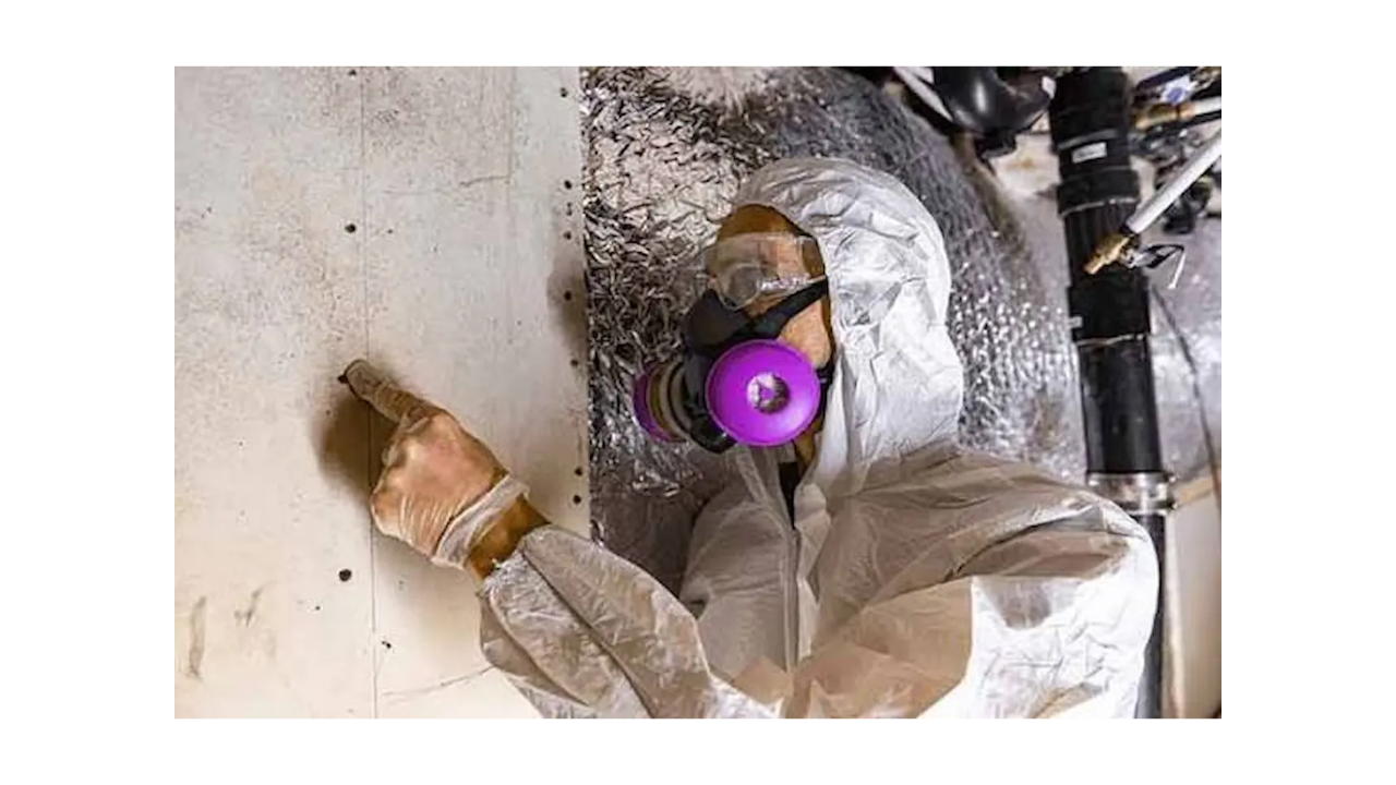 How to Get a Mold License in Florida (2026) | NIAQI