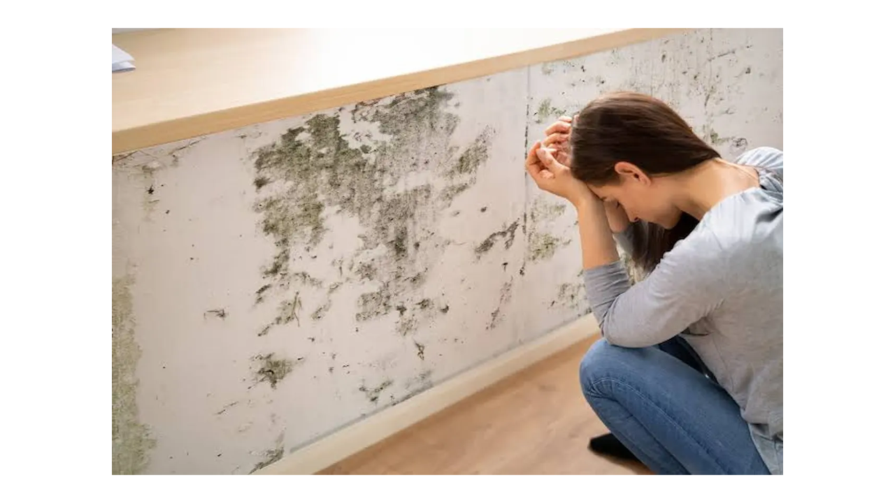 Does Mold Cause Tinnitus