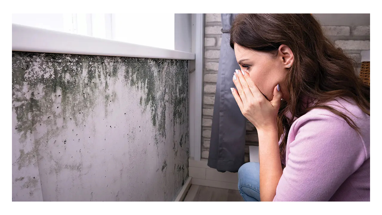 Can Mold Cause Ear Infections? What Doctors Say