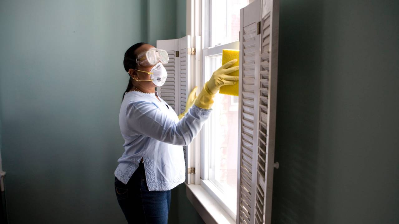 The Best Mold Killer for Your Home and Office