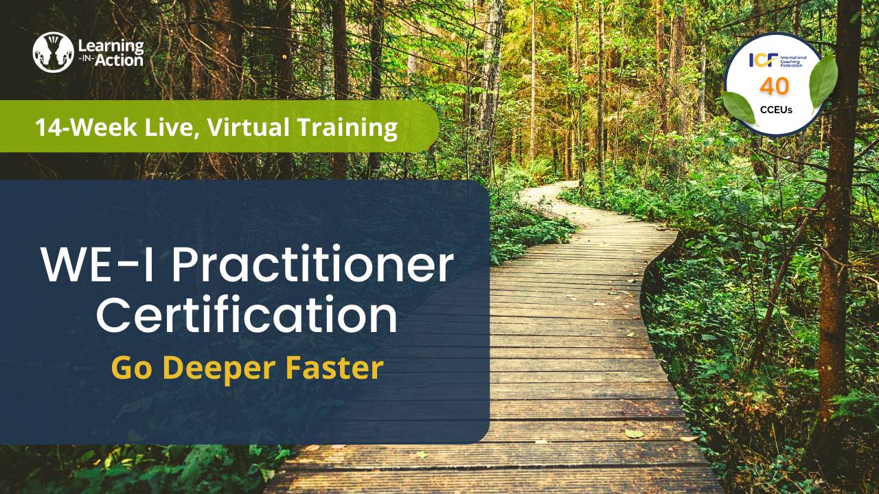 WE-I Practitioner Certification Training, Learning In Action