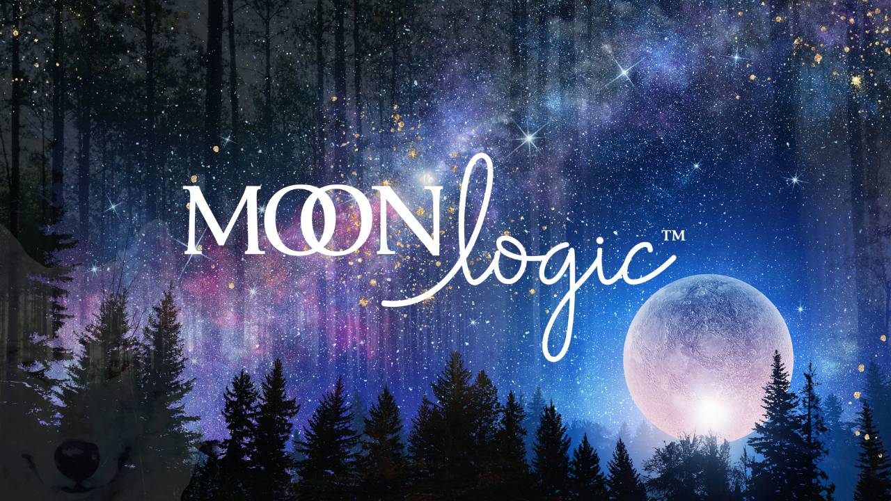 Preview image published by moonlogic.school