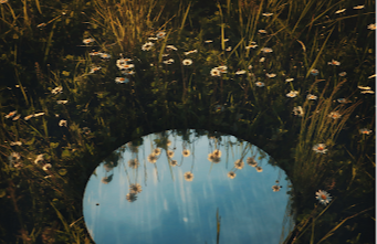 Le miroir