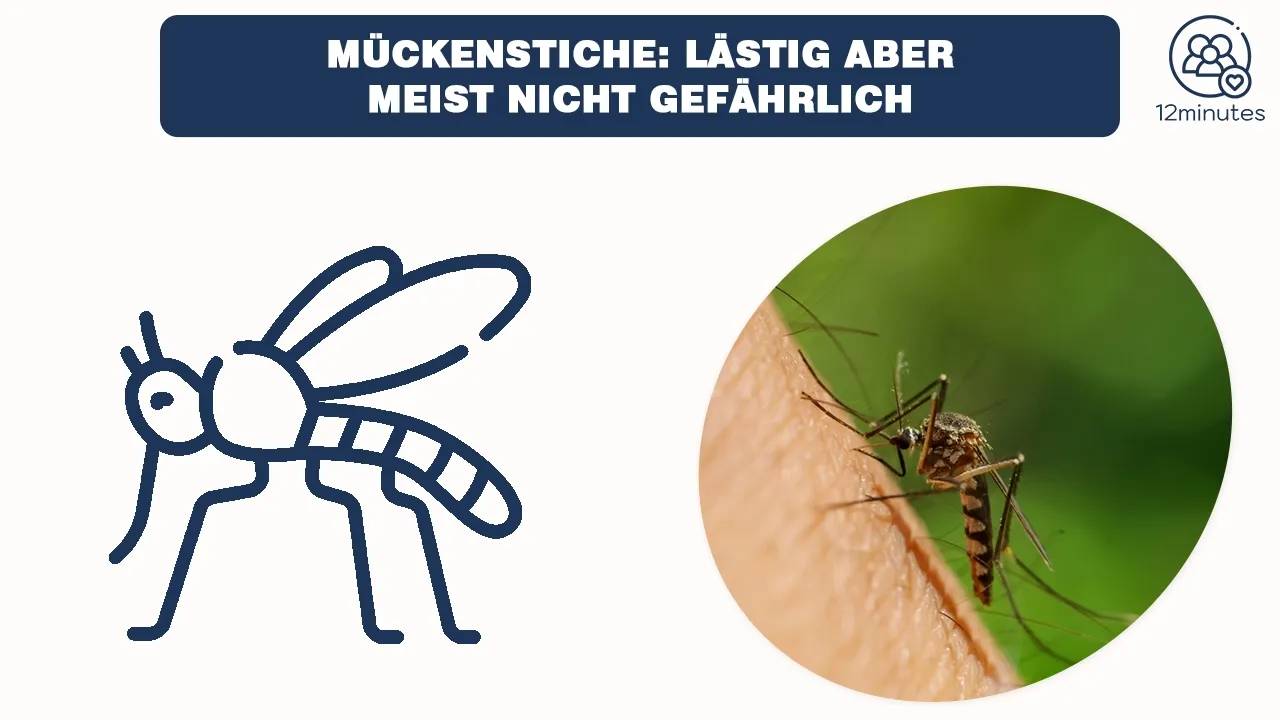 Wie Lange Bleibt Ein Mückenstich www.12minutes.de