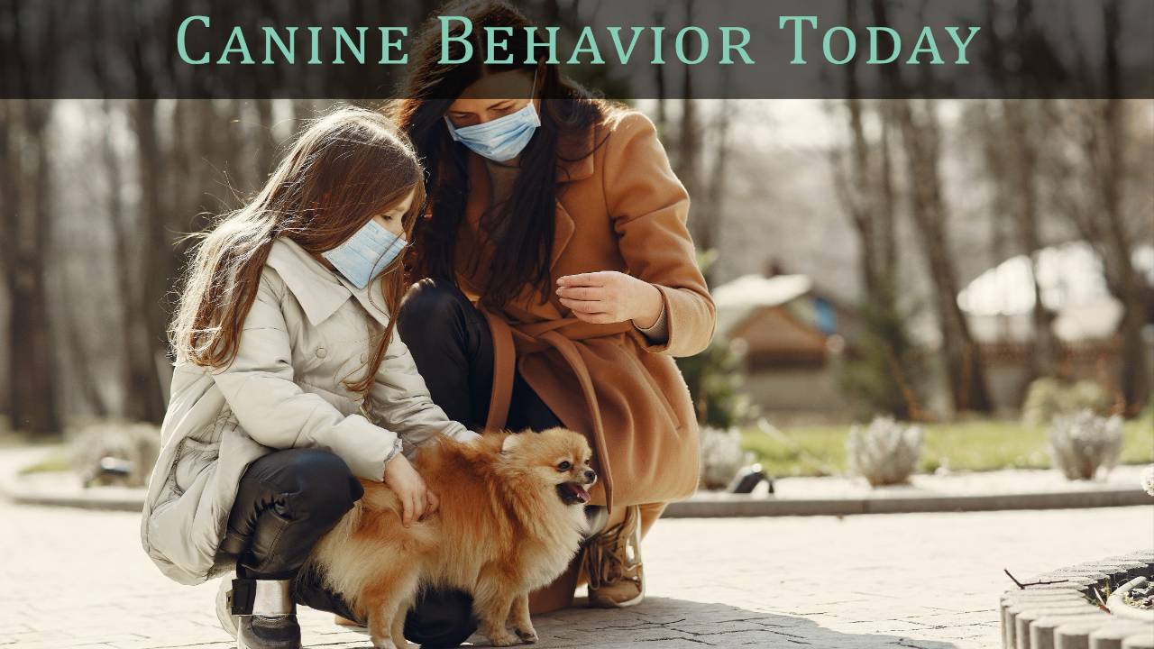 How has Covid19 impacted puppies and dogs?