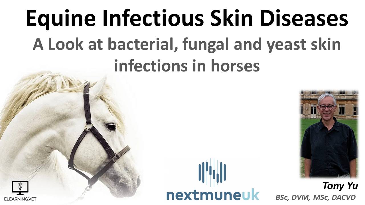 Equine Infectious Skin Disease Recording