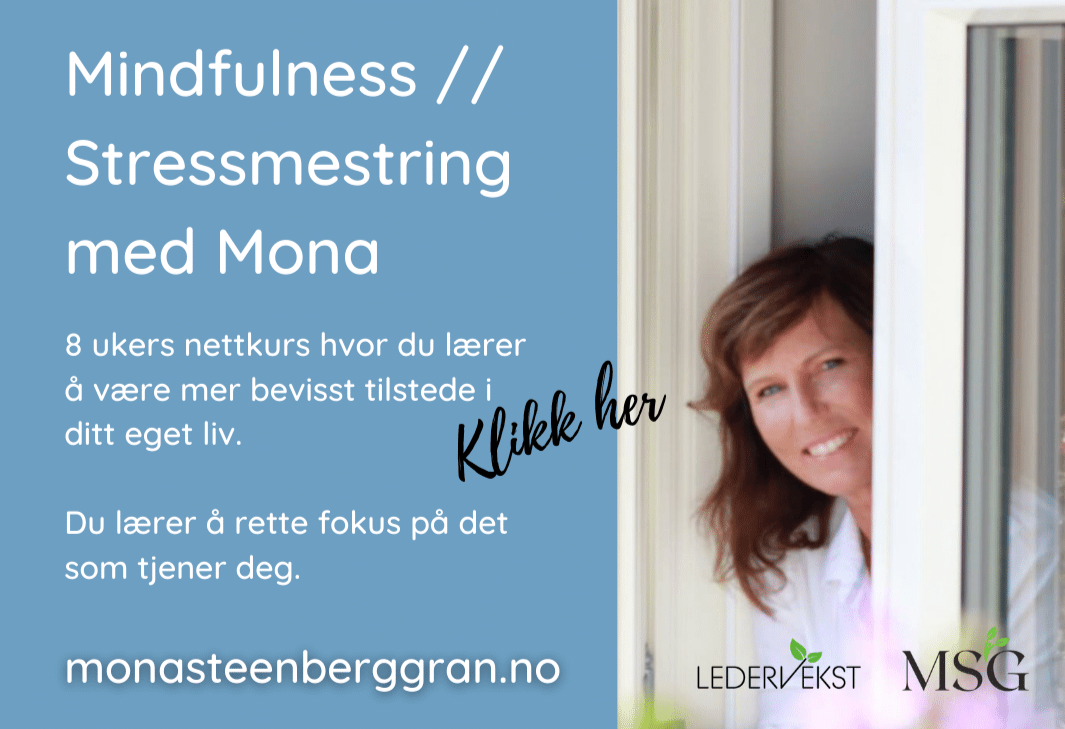Nettkurs