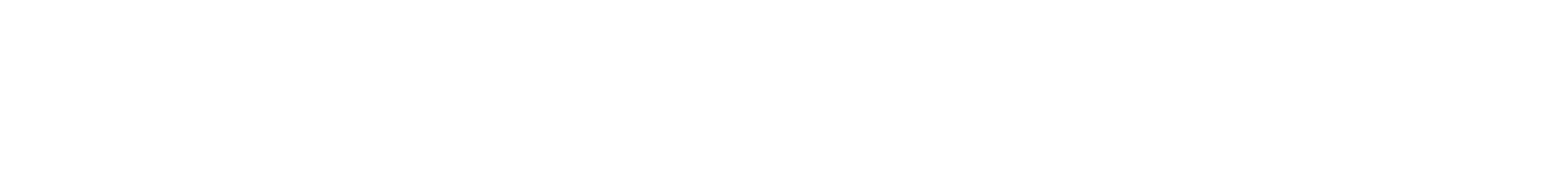 BELU GROUP