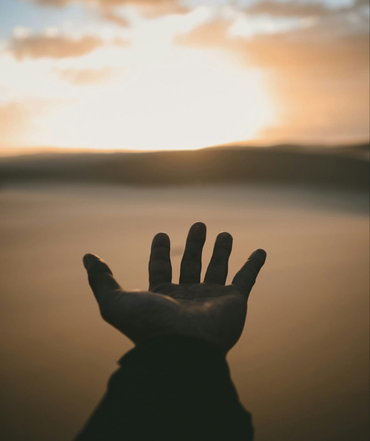 Reaching toward light and healing in nature