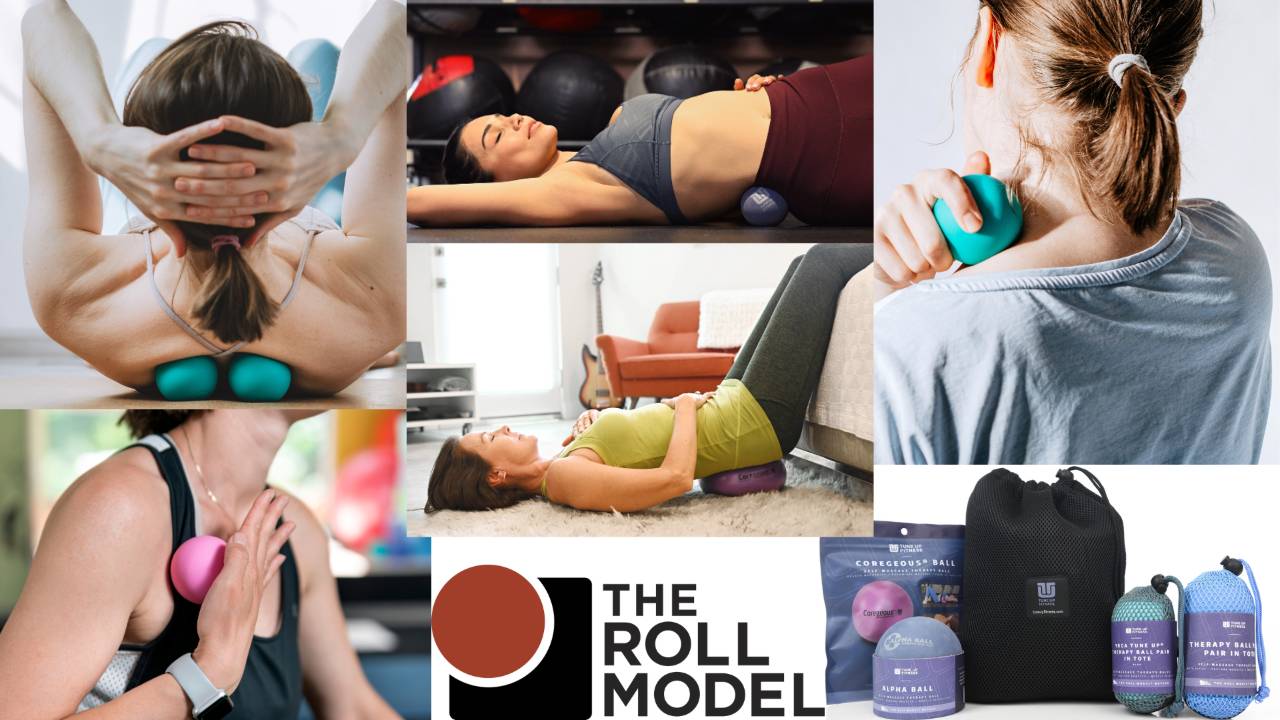Roll Modelling Roll Model Workshops