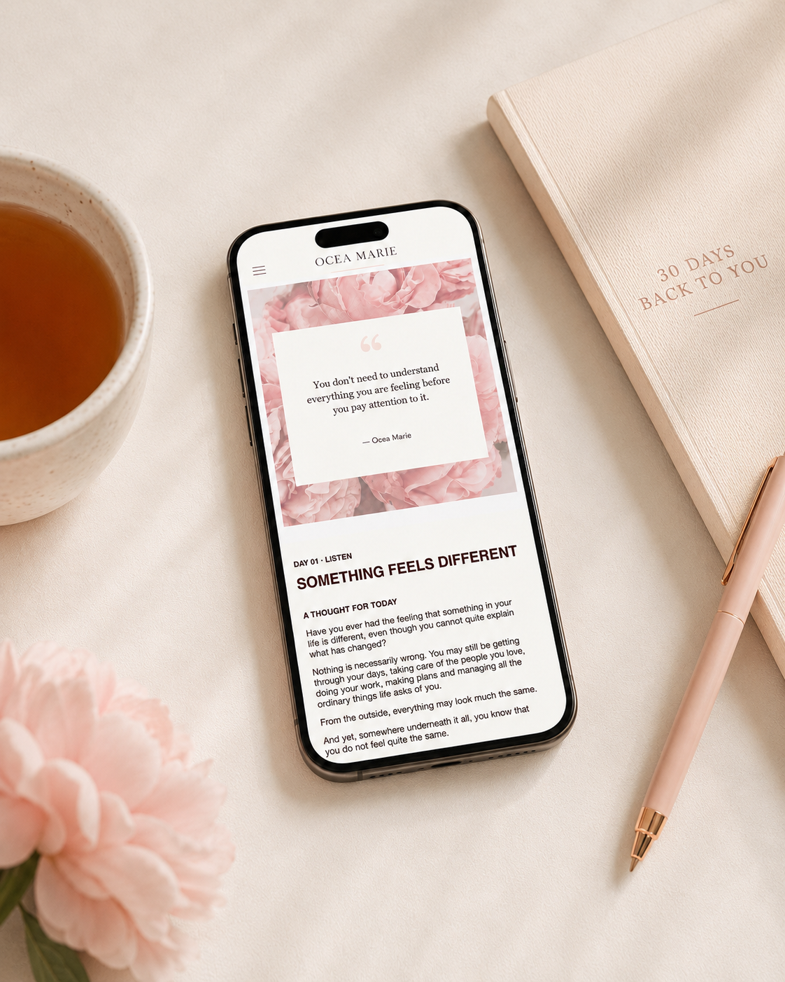 30 Days Back to You email program