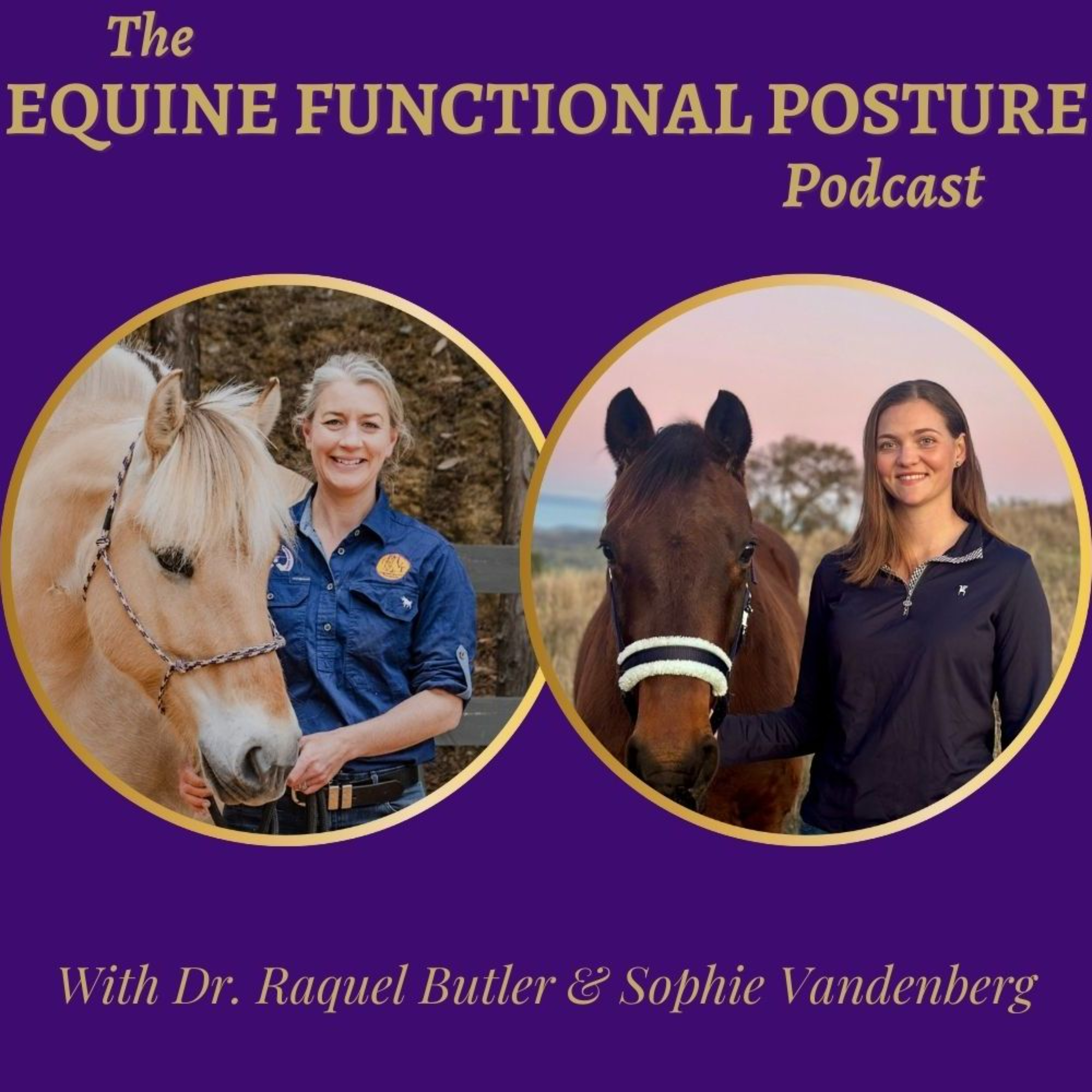 The Equine Functional Posture Podcast