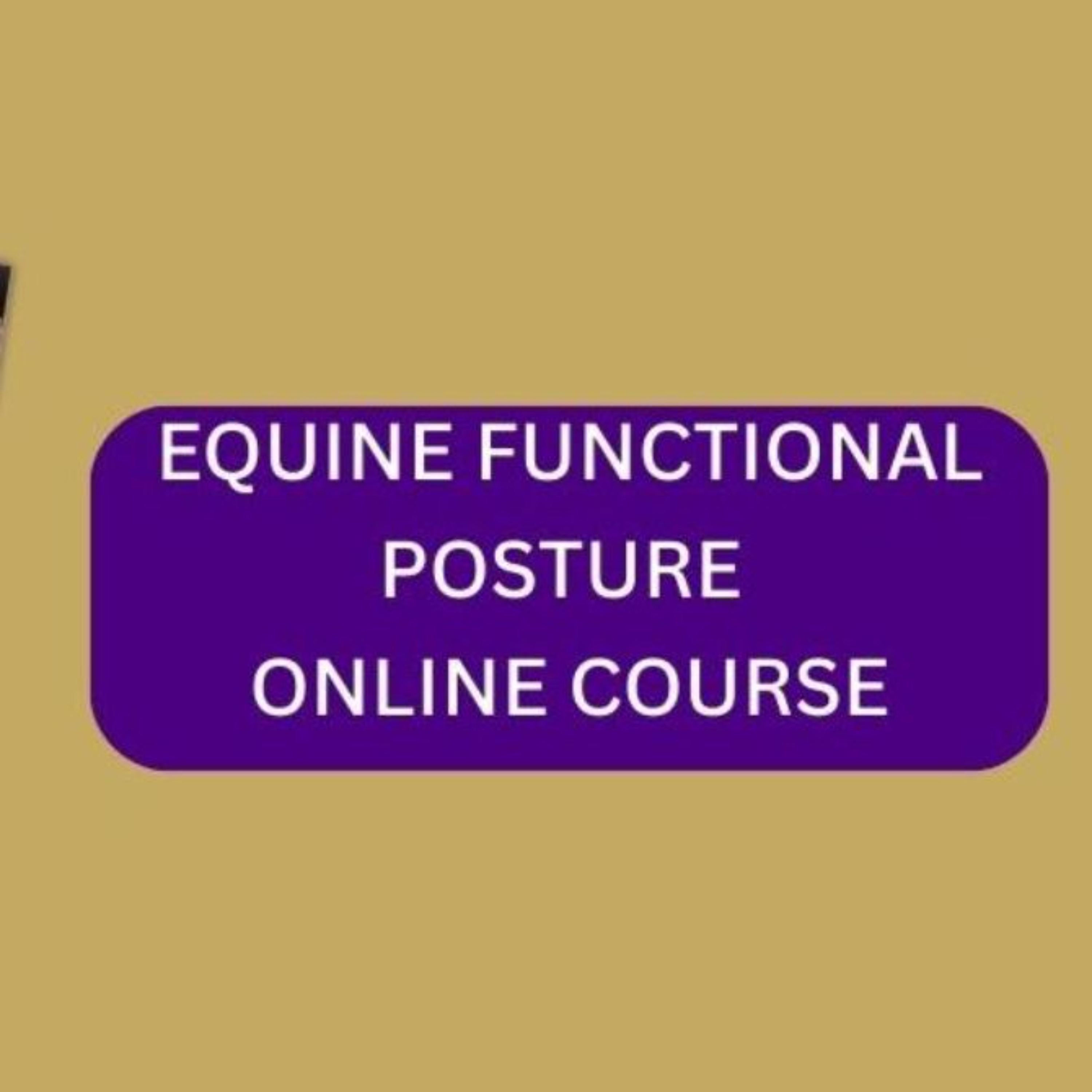 The Equine Functional Posture Podcast