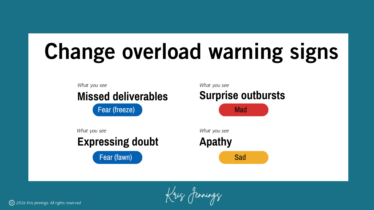 What you see in your team that indicates change overload