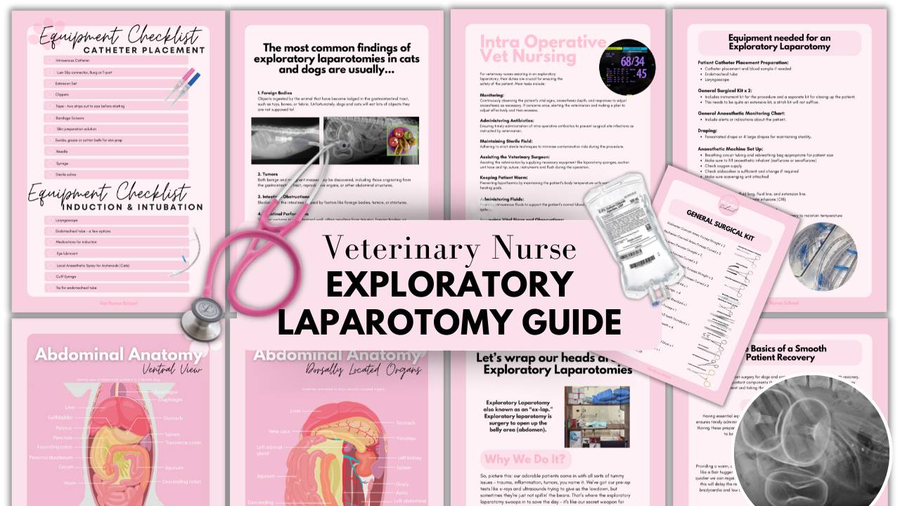 Exploratory Laparotomy Guide