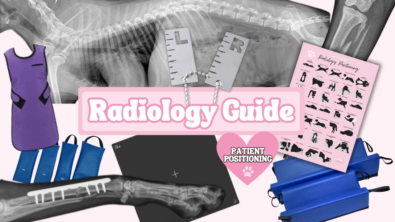 Radiology & Positioning Guide for Veterinary nurses