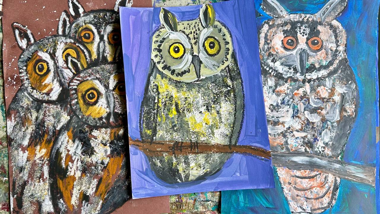 Long Eared Owls