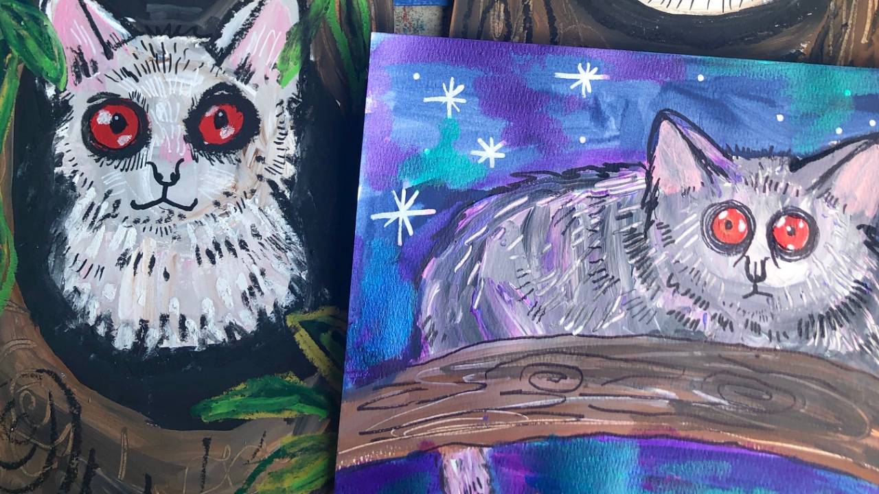 Bush Babies