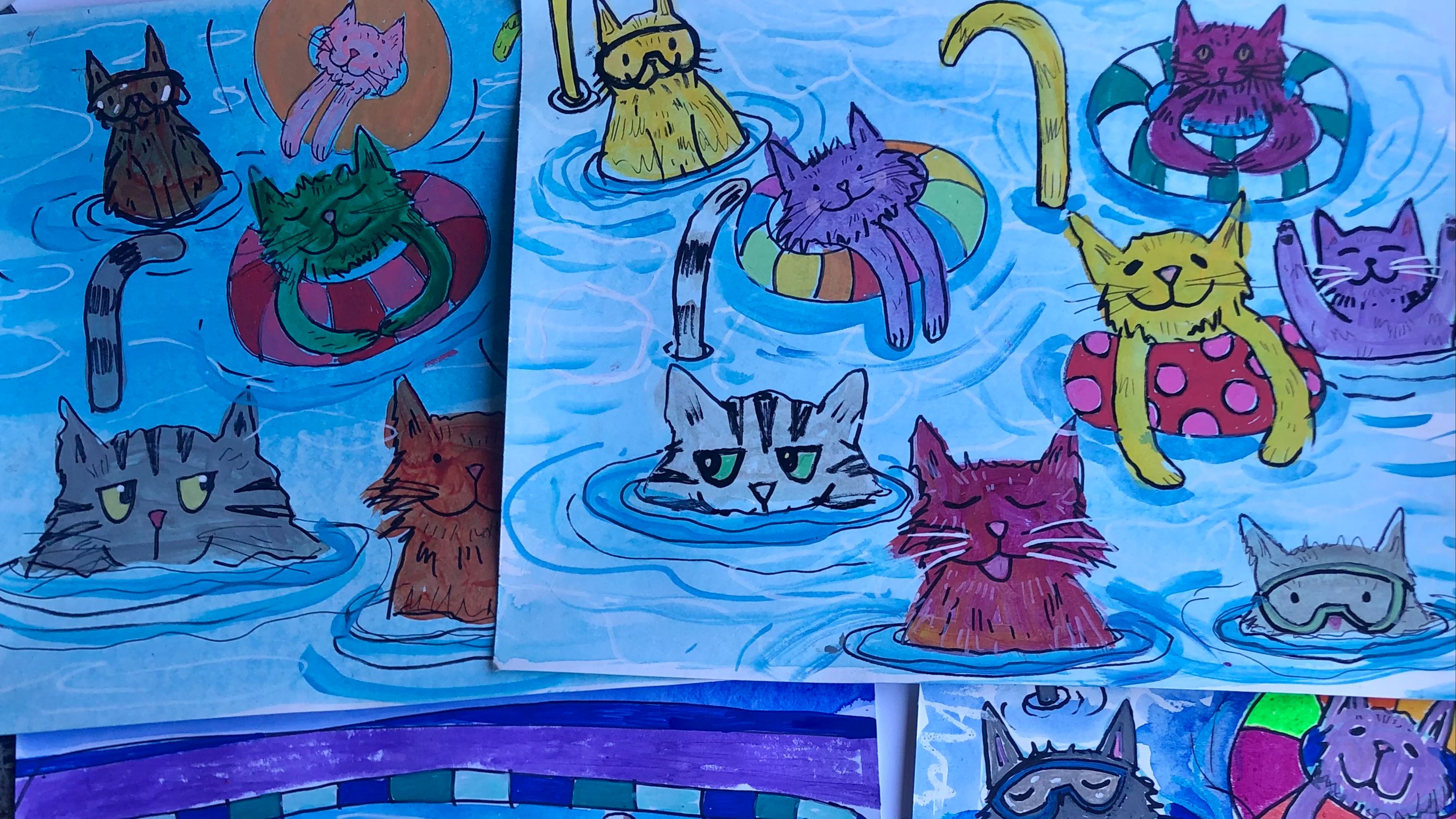 Cat Pool Party