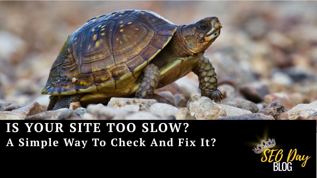 A turtle walking over stones with a caption: Is your site too slow? 