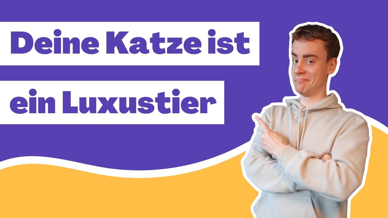 833-bgb-haftung-des-tierhalters