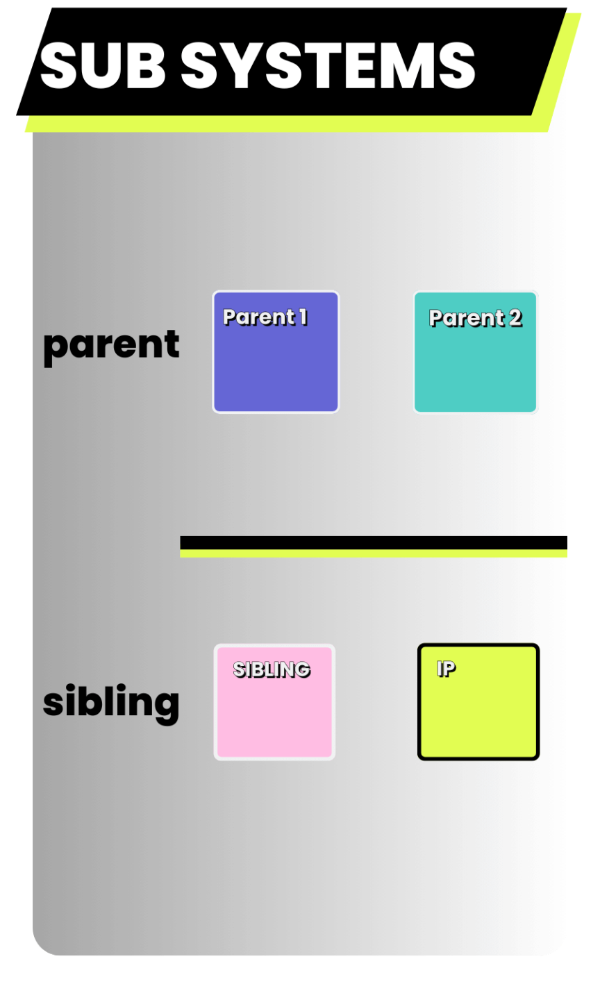 family mapping subsystems