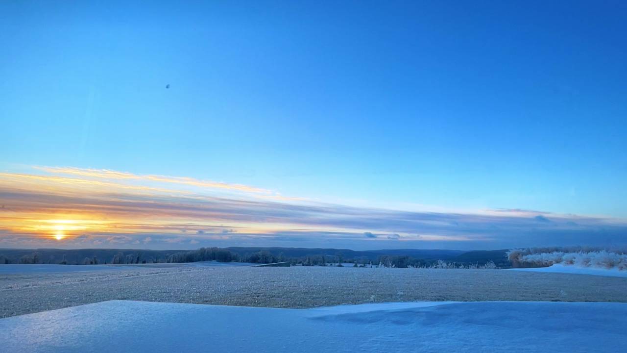 Guided Full Body Relaxation