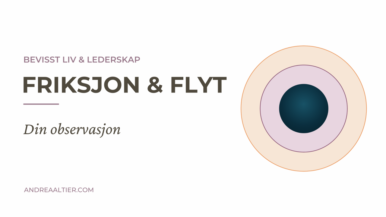 Friksjon & flyt: Din observasjon, Bevisst Liv & Lederskap, Andrea Altier